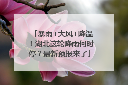 暴雨+大风+降温！湖北这轮降雨何时停？最新预报来了