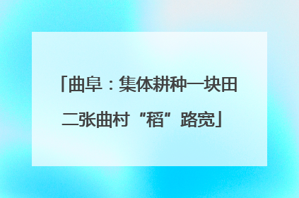 曲阜：集体耕种一块田 二张曲村“稻”路宽