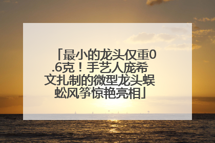 最小的龙头仅重0.6克！手艺人庞希文扎制的微型龙头蜈蚣风筝惊艳亮相