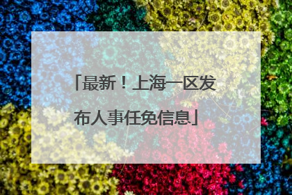 最新！上海一区发布人事任免信息