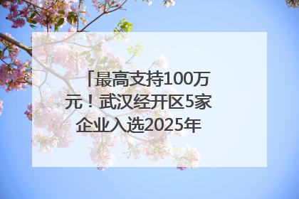 最高支持100万元！武汉经开区5家企业入选2025年度武汉市重点研发计划拟立项项目名单