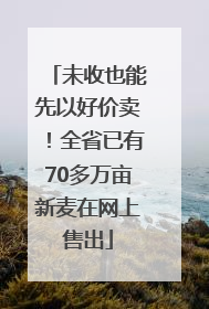 未收也能先以好价卖！全省已有70多万亩新麦在网上售出