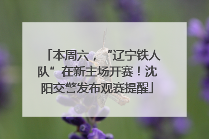 本周六，“辽宁铁人队”在新主场开赛！沈阳交警发布观赛提醒