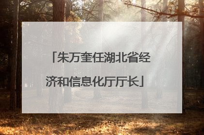 朱万奎任湖北省经济和信息化厅厅长