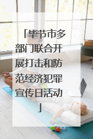 毕节市多部门联合开展打击和防范经济犯罪宣传日活动