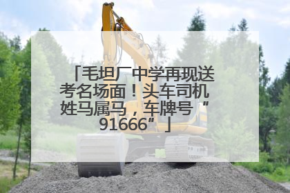 毛坦厂中学再现送考名场面！头车司机姓马属马，车牌号“91666”