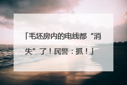 毛坯房内的电线都“消失”了！民警：抓！