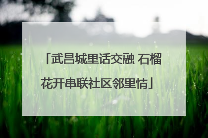 武昌城里话交融 石榴花开串联社区邻里情