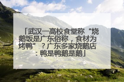 武汉一高校食堂称“烧鹅饭是广东俗称，食材为烤鸭”？广东多家烧鹅店：鸭是鸭鹅是鹅