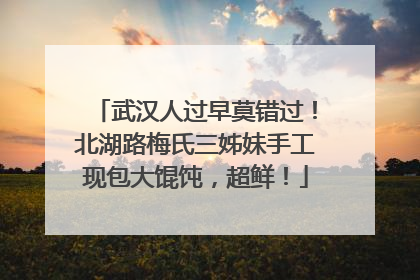 武汉人过早莫错过！北湖路梅氏三姊妹手工现包大馄饨，超鲜！