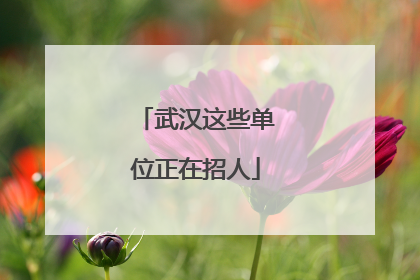 武汉这些单位正在招人