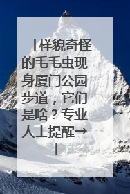 样貌奇怪的毛毛虫现身厦门公园步道，它们是啥？专业人士提醒→