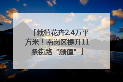 栽植花卉2.4万平方米！南岗区提升11条街路“颜值”