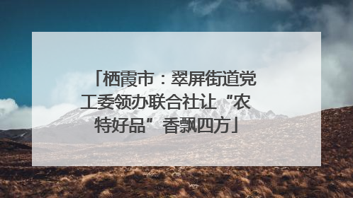 栖霞市：翠屏街道党工委领办联合社让“农特好品”香飘四方