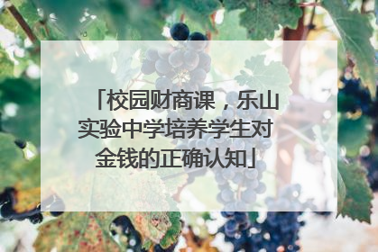 校园财商课，乐山实验中学培养学生对金钱的正确认知
