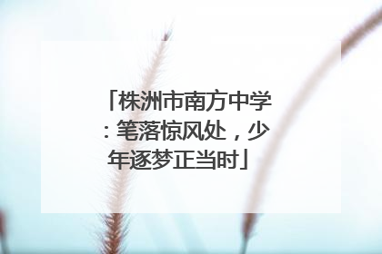 株洲市南方中学：笔落惊风处，少年逐梦正当时