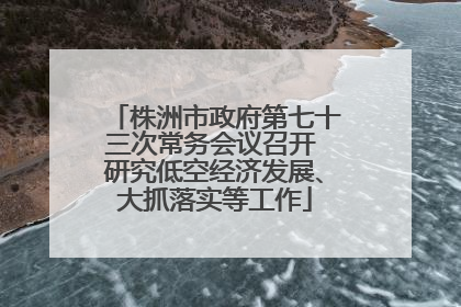 株洲市政府第七十三次常务会议召开 研究低空经济发展、大抓落实等工作