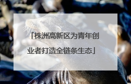 株洲高新区为青年创业者打造全链条生态