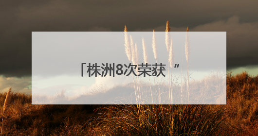 株洲8次荣获“全国双拥模范城”称号 厚植“双拥”沃土谱新篇