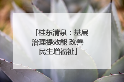 桂东清泉：基层治理提效能 改善民生增福祉