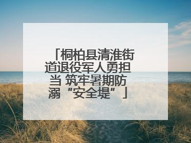 桐柏县清淮街道退役军人勇担当 筑牢暑期防溺“安全堤”