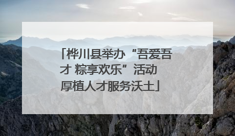 桦川县举办“吾爱吾才 粽享欢乐”活动 厚植人才服务沃土