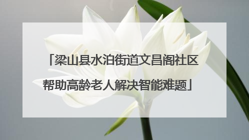 梁山县水泊街道文昌阁社区帮助高龄老人解决智能难题