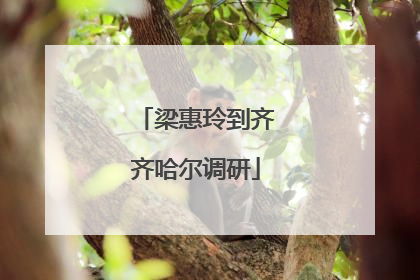 梁惠玲到齐齐哈尔调研