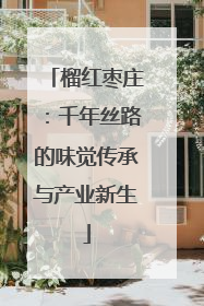 榴红枣庄：千年丝路的味觉传承与产业新生