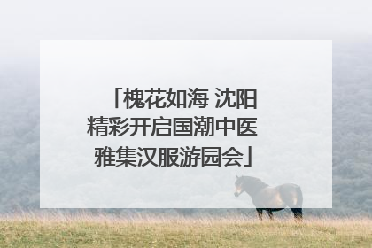 槐花如海 沈阳精彩开启国潮中医雅集汉服游园会