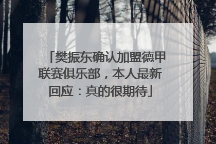 樊振东确认加盟德甲联赛俱乐部，本人最新回应：真的很期待