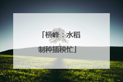 横峰：水稻制种插秧忙
