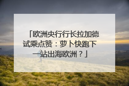 欧洲央行行长拉加德试乘点赞：萝卜快跑下一站出海欧洲？