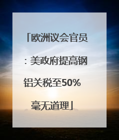 欧洲议会官员：美政府提高钢铝关税至50%毫无道理