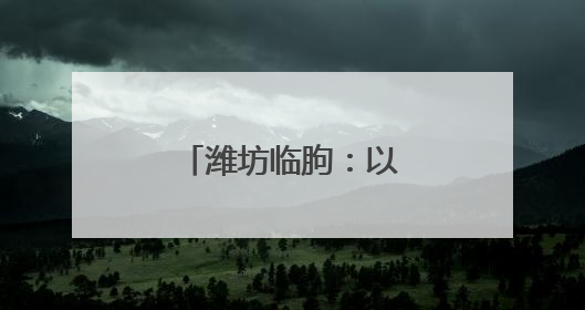 潍坊临朐：以“绣花功夫”赋能镇域蝶变