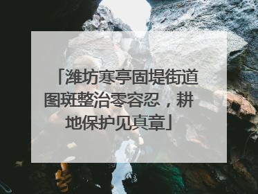 潍坊寒亭固堤街道图斑整治零容忍，耕地保护见真章