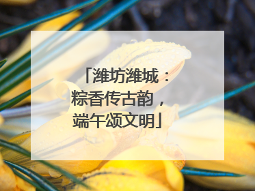 潍坊潍城：粽香传古韵，端午颂文明