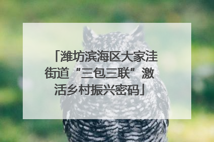 潍坊滨海区大家洼街道“三包三联”激活乡村振兴密码
