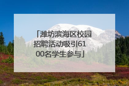 潍坊滨海区校园招聘活动吸引6100名学生参与