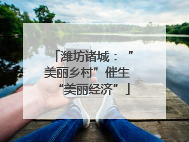 潍坊诸城：“美丽乡村”催生“美丽经济”