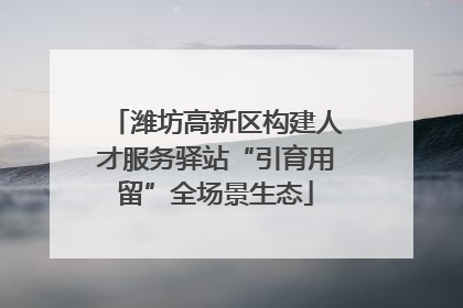 潍坊高新区构建人才服务驿站“引育用留”全场景生态
