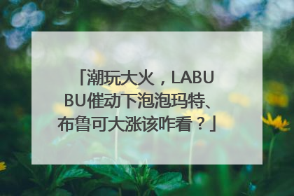潮玩大火，LABUBU催动下泡泡玛特、布鲁可大涨该咋看？