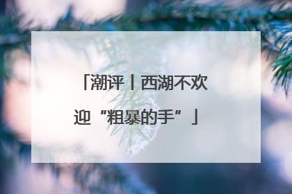 潮评丨西湖不欢迎“粗暴的手”