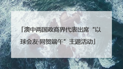 澳中两国政商界代表出席“以球会友·同贺端午”主题活动