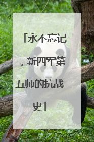 永不忘记，新四军第五师的抗战史