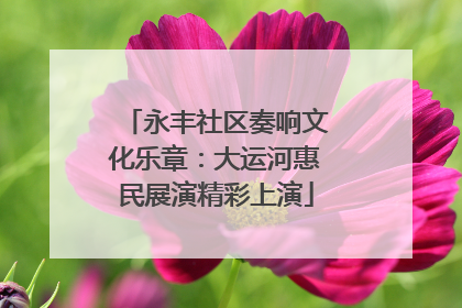 永丰社区奏响文化乐章：大运河惠民展演精彩上演
