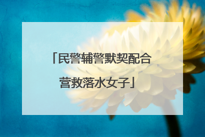 民警辅警默契配合 营救落水女子