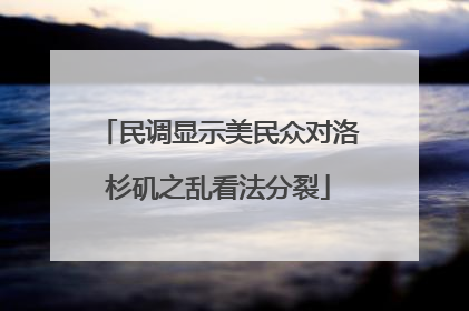民调显示美民众对洛杉矶之乱看法分裂