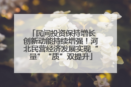 民间投资保持增长 创新动能持续增强！河北民营经济发展实现“量”“质”双提升
