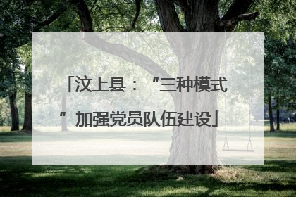 汶上县：“三种模式”加强党员队伍建设